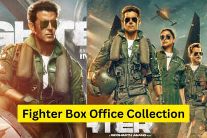 Fighter Box office Collection