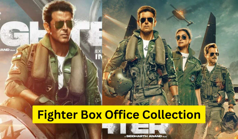 Fighter Box office Collection