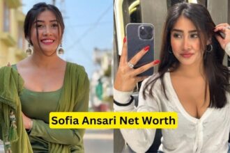 Sofia Ansari Income